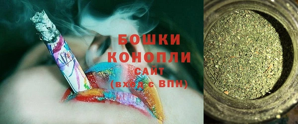 PSILOCYBIN Няндома